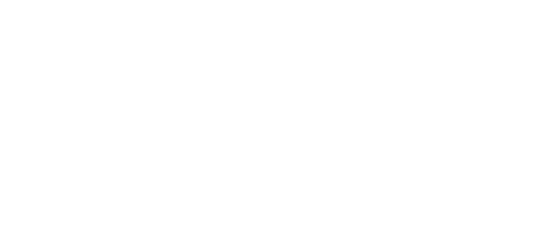 Lone Survivor