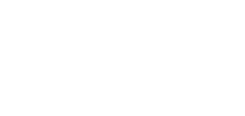 The Velveteen Rabbit