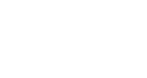 Public Enemies