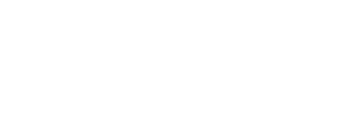 Bronx Zoo '90: Crime, Chaos and Baseball