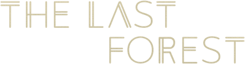 The Last Forest