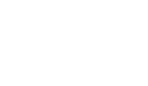 The Stepford Wives