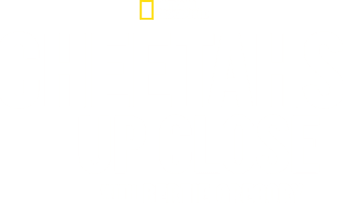Cheetahs Up Close with Bertie Gregory