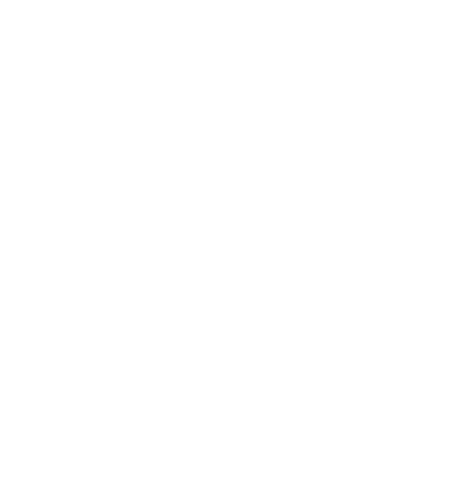 Nicky, Ricky, Dicky & Dawn