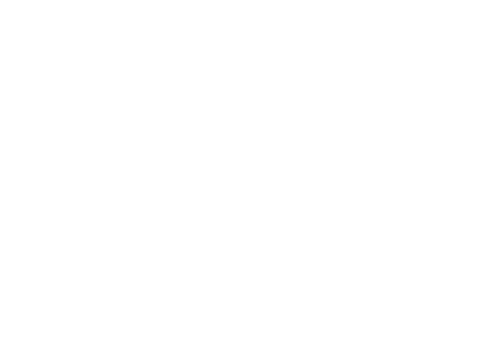 Mr. Holland's Opus
