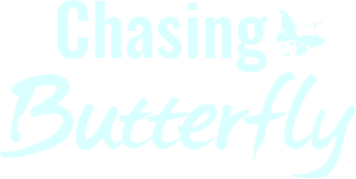 Chasing Butterfly