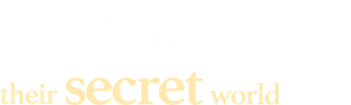 Badgers: Their Secret World