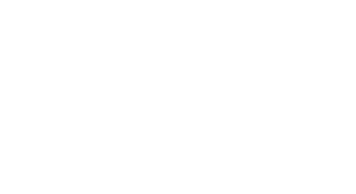 Everyone's Hero