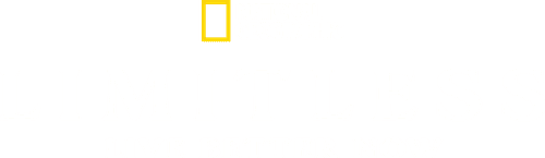 Limitless: Live Better Now
