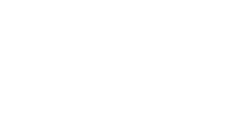 The Informer