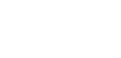 The Cleaning Lady