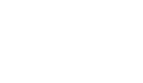 Dragon: The Bruce Lee Story