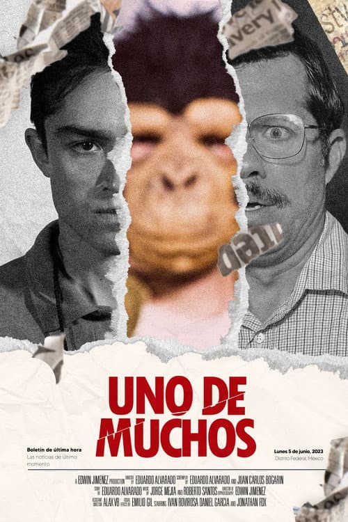 Uno De Muchos