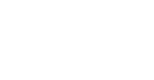 The Whirlwind Girl