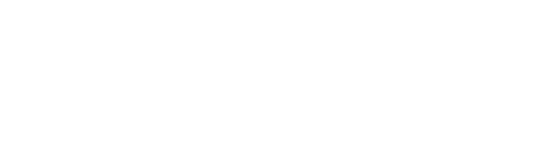 Planet of the Birds