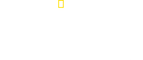 Hitler's Last Year