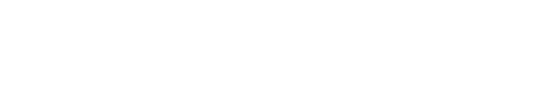 We Are: The Brooklyn Saints