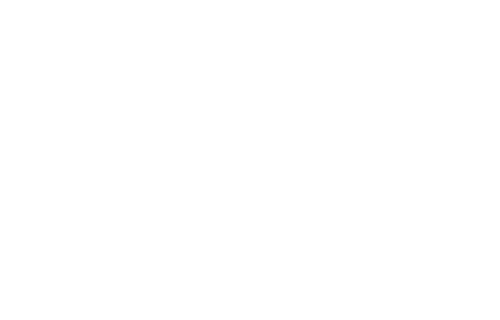Fantastic Lies
