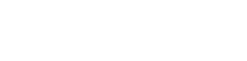 The Charge of the Light Brigade