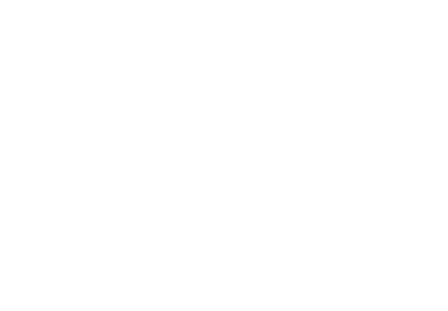 Bad Boys