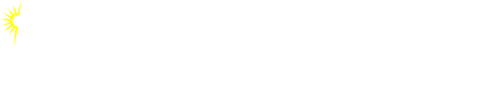 Light the Wild