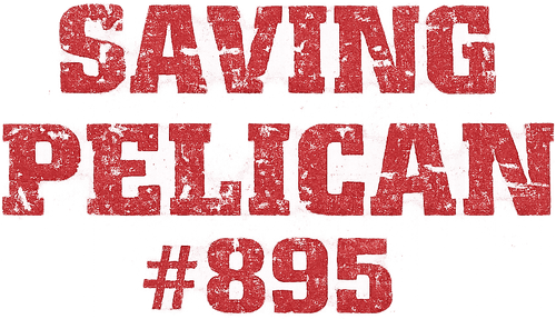 Saving Pelican 895
