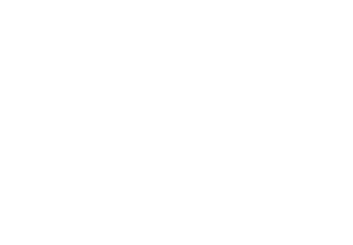 Storm Boy