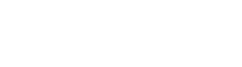 The Cleanse