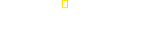 Great Shark Chow Down