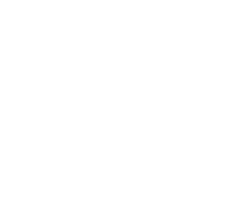 Muscle Beach Party