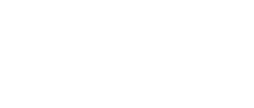 Light of My Lion