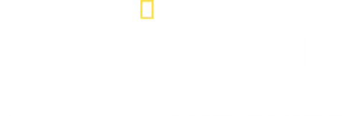 9/11: Cleared for Chaos