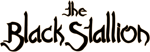 The Black Stallion