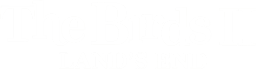 The Birds II: Land's End