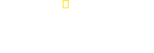 Arctic Ascent with Alex Honnold