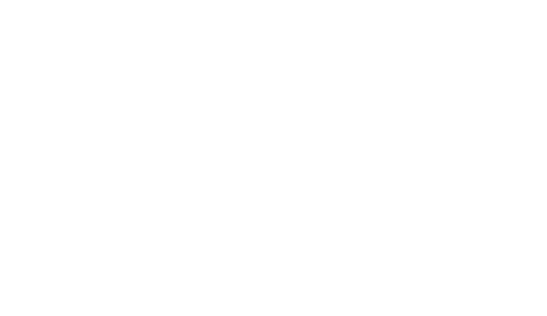 The 400 Blows
