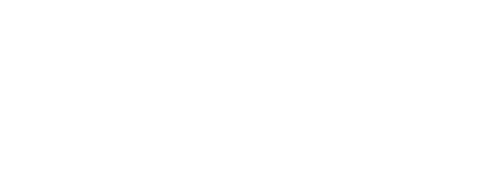 The Dirty Dozen