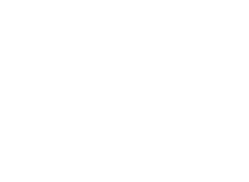 45 Days
