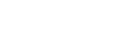 The Master of Kung Fu
