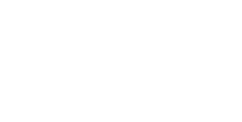 Hudson Hawk