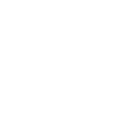 A Life Time Love