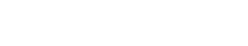 The Village