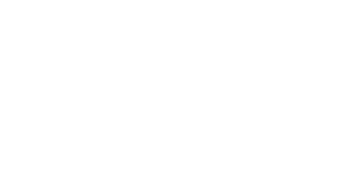 The Baron of Arizona
