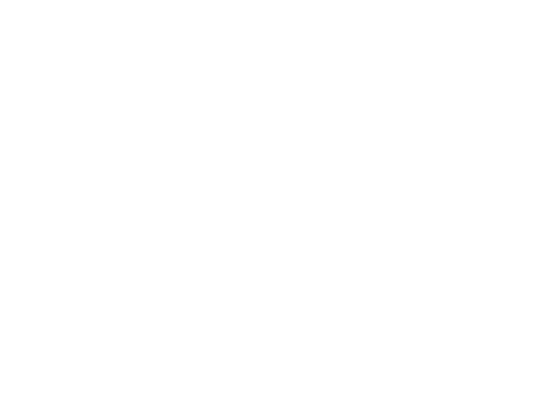 Our Only Chance