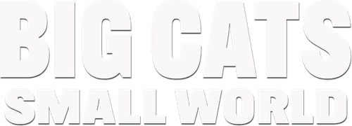Big Cats, Small World