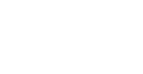 Bicycle Thieves