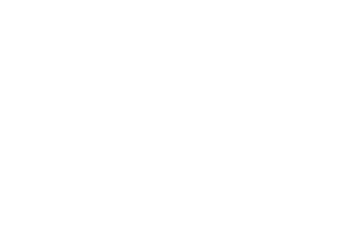 Down with the King