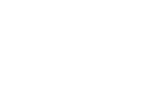 Europa '51