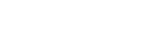 Youth of the Beast