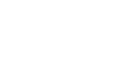 The Atom Ant Show